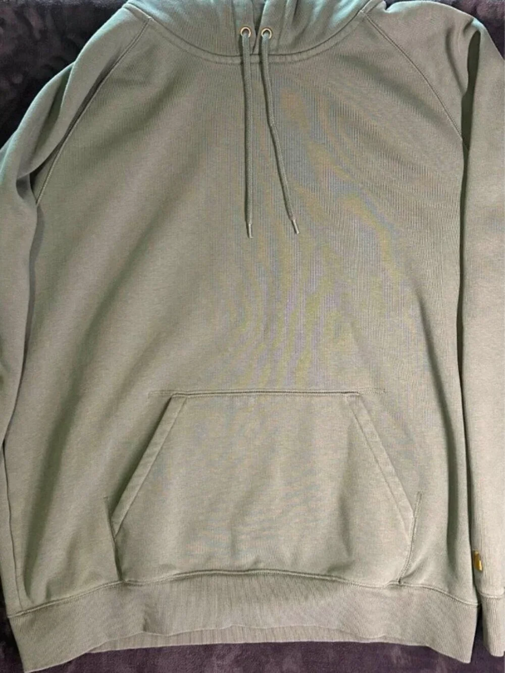 Carhartt Work in Progress Men’s Xxl Hooded Chase Sweatshirt Velvet Green